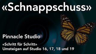 Schnappschuss bzw Standbild in Pinnacle Studio  Umsteigen auf Studio 16 17 18 und 19 [upl. by Alithea]