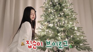 Vlog 집순이 모여랏 혼자서도 잘 노는 집순이🏠 나이트루틴 모델링팩 올리브영 추천템 🎄트리꾸미고 야무지게 밥 해먹는 일상 브이로그 [upl. by Peggie8]