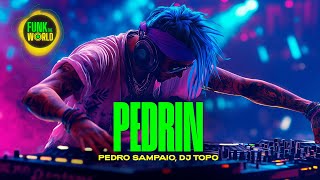 PEDRO SAMPAIO DJ TOPO  PEDRIN [upl. by Andra677]