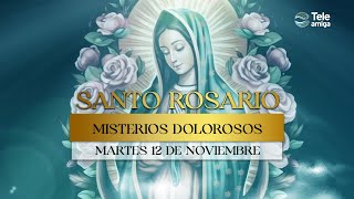 SANTO ROSARIO de Hoy 📿 Martes 12 de Noviembre 2024 🌿 Misterios Dolorosos 🌿 Teleamiga [upl. by Xymenes]