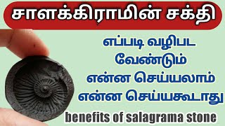 Benefits of salagrama stone  சாளக்கிராமத்தின் சக்தி மகிமை  எப்படி வழிபடுவது  என்ன செய்யலாம் [upl. by Emelina245]