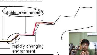 Punctuated equilibrium [upl. by Hutchings]