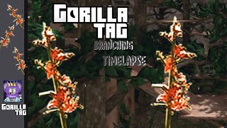 Branching in gorilla tag ￼￼￼ [upl. by Belayneh]