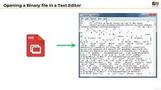 008 Challenges with Binary Files  Learn the ABC of Malware Analysis [upl. by Auqinom]