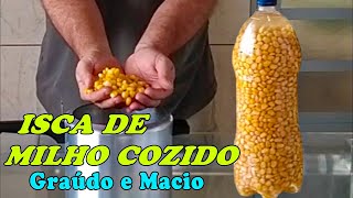 Como Fazer ISCA DE MILHO COZIDO Graúdo e Macio quotO Pulo do Gatoquot [upl. by Ydoow689]