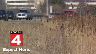 Survey underway to gauge progress of Phragmites in Washington Township [upl. by Baggett]