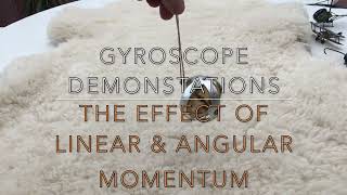 Gyroscopic effects of Linear amp Angular momentum [upl. by Reinar]