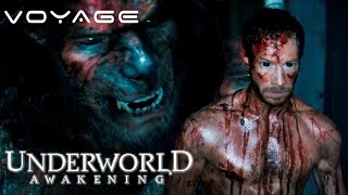 Underworld Awakening  Quints Bloody Transformation Scene  Voyage [upl. by Brigg]