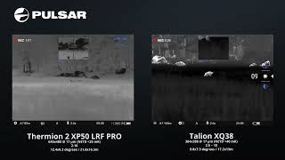 Pulsar Talion XQ38 vs Pulsar Thermion 2 XP50 Pro LRF [upl. by Eldwen]