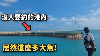 【港釣】這沒人要釣的港內，居然這麼多的大魚可以釣 紀錄級黑鯛強勢來襲 自製黃鰭鯛魚蓋飯 澎湖內港的魅力，大風大浪的時候挑這種地方釣魚就對了 [upl. by Nanaek893]