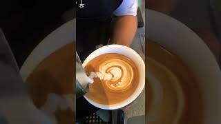 WIGGLE SWAN 🦢 ▪︎ LATTE ART subscribe ytshorts [upl. by Ashien]