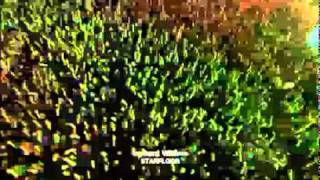 Bande Annonce STARFLOOR 2011 W9 [upl. by Isoais]