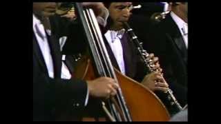 EPIC double bass pizzicato Excerpt from Dvorak Symphony No9 Mvt2 [upl. by Bowyer]