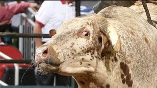 WRECK Ty Pozzobon knocked out by Carolina Kicker PBR [upl. by Tirzah169]