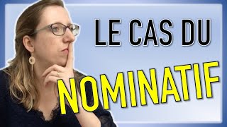 🇩🇪 Les déclinaisons en allemand  le cas du NOMINATIF 😍 [upl. by Nanor]