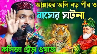 আল্লাহর অলি বড় পীর ও বাঘের আশ্চর্য ঘটনা┇মাওঃ ওহিদুল ইসলাম সাহেব┇Ohidul Islam wazampgojol [upl. by Darrell]