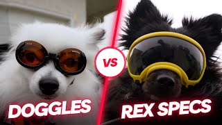 Doggles vs Rex Specs  Dog Goggles Review doggles rexspecs pomeranian [upl. by Lomasi]