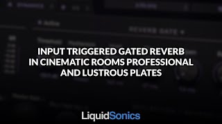 Input Triggered Gated Reverbs in Cinematic Rooms Professional and Lustrous Plates [upl. by Sella579]