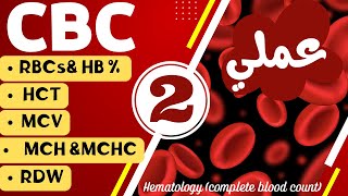 35تحليل صورة الدم الكاملة CBC خلايا الدم الحمراء الجزء الثاني عملي Red blood cells [upl. by Garold698]