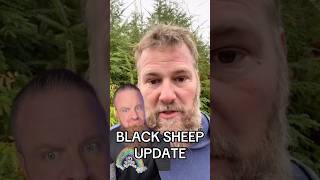 VM Sheep Farmsheepfarm animals achampet goat sheeps youtubeshorts viralshorts shorts [upl. by Rekrap]