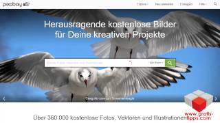 Kostenlose Bilder Grafiken Homepage Webseite einbinden lizenzfrei Pixabay Tipp Gratis gratistipps [upl. by Winstonn992]