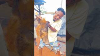 Bush meat in Edo state bushmeat funny comedy [upl. by Olive]