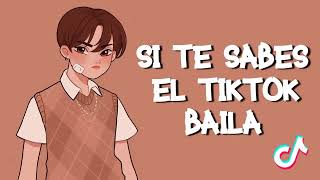 SI TE SABES EL TIKTOK BAILA 2022 RBS TIKTOK [upl. by Nylessej]