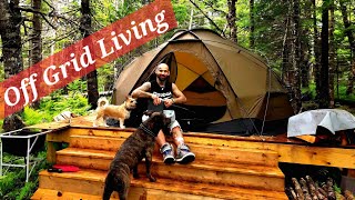 Off Grid Living And Van Life Camping [upl. by Katine]