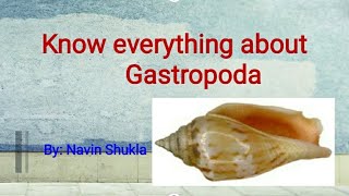 GastropodaGastropoda geology [upl. by Thetisa]