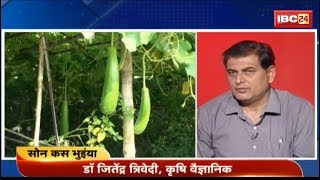 लौकी की खेती करेले की खेती  Bottle Gourd Farming Momordica charantia Farming  Sonkas Bhuiyan [upl. by Eelyrehc]