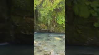 Georgia shortvideo falls [upl. by Alvar942]