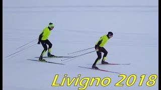 Skatingschule Scherrer  Livigno 2018  Skating Technik 11 und AST [upl. by Hbahsur65]