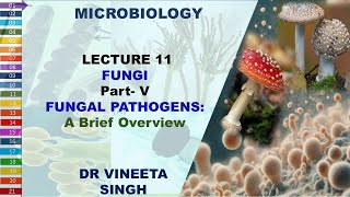 Fungal Pathogens A Brief Overview [upl. by Anaul]