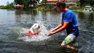 TEACHING KODA TO SWIM Super Cooper Sunday 103 [upl. by Nnaesor420]