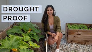 The BEST Drought Tolerant Vegetables  Drought Gardening Tips [upl. by Nnylg]