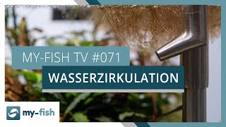 Wasserzirkulation und Strömung im Aquarium optimieren  myfish TV 071 [upl. by Missie]