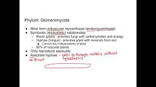 Fungi  Glomeromycota and Chytridiomycota [upl. by Collie]