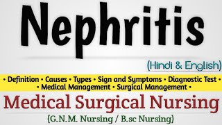 Nephritis  Nephritis In Hindi  Lupus nephritis  Glomerulonephritis [upl. by Nnylyaj]