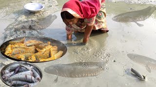 amazingampunbelievable catching fish in village cooking and eating villege life stylegarai fish eat [upl. by Dyke]