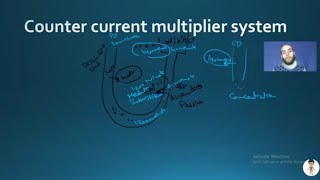 Nerd Renal Physiology5 Reabsorption Forces  Urine Concentration and Acid  base Balance [upl. by Ahsenwahs]