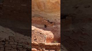 Ancient Cliff Dwellings Canyon of the Ancients National Monument Colorado 🏜️🇺🇸 hiking colorado [upl. by Haynes]