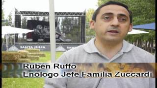 Conexión Agro  Rubén Ruffo  Enólogo Jefe Familia Zuccardi [upl. by Handler140]