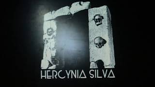 HERCYNIA SILVA  Mégalithique Official Video [upl. by Almat182]