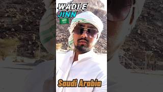 Wadie jinn madina vlog saudiarabia makkah [upl. by Clarisa6]