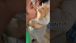 When I kiss my cat foryou catfunny cats cute [upl. by Hsotnas]