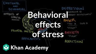 Behavioral effects of stress  Processing the Environment  MCAT  Khan Academy [upl. by Arised]