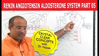 Renin Angiotensin Aldosterone System  RAAS Part 5👨‍⚕️ [upl. by Lovett904]