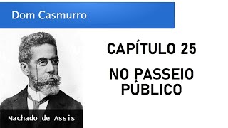 Dom Casmurro  Capítulo 25 No Passeio Público [upl. by Demb]