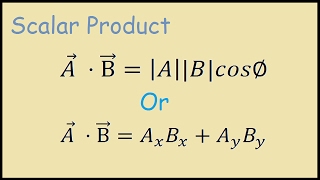 Scalar Multiplication of Vectors [upl. by Lucrece47]