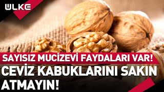 Ceviz Kabuklarını Sakın Atmayın Sayısız Mucizevi Faydaları Var [upl. by Auston]